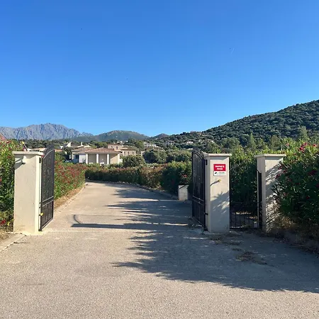 Les Maristella, Argentu Aregno